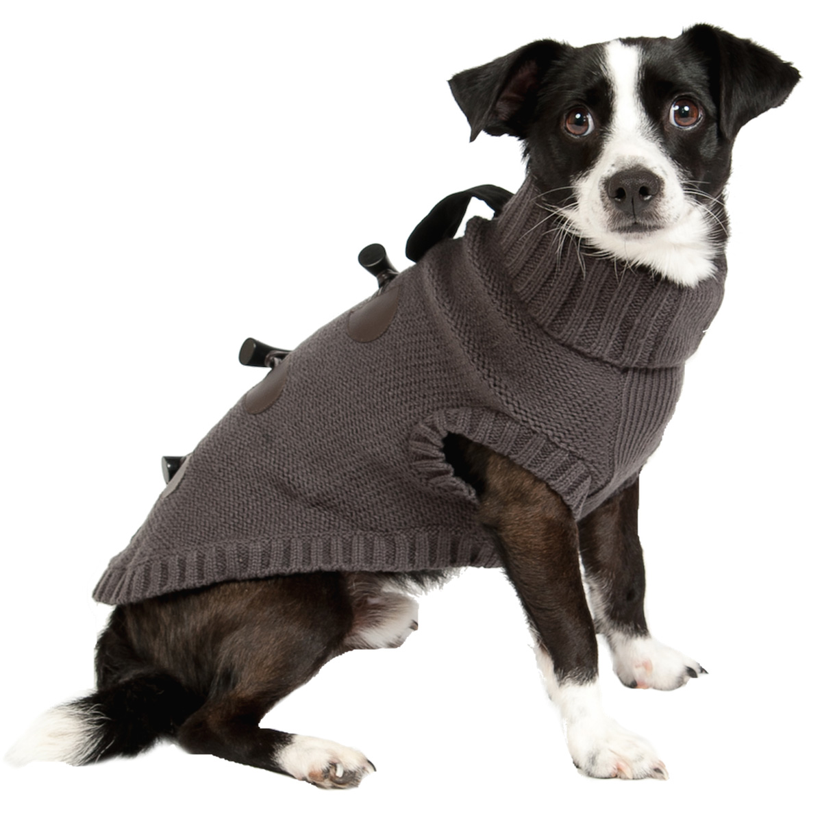 dog duffle coat